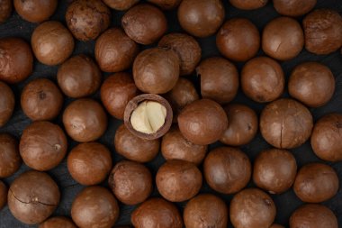 Macadamia fındık deseni. Doğal çiğ macadamia tohumları ve kabuk arka planı, dünyanın en sert ve en pahalı fındıkları.
