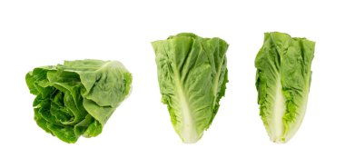 Bir romaine marul salatası izole. Çünkü yeşil yapraklar, taze salata başı, beyaz arka planda çiğ lahana, sağlıklı Roma salatası üst görünümü.
