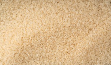 Beyaz haşlanmış pirinç taneleri dokusu arka planda. Kurutulmamış ponni pirinç deseni, küçük organik basmati bayrağı, geleneksel Asya malzeme duvar kağıdı.