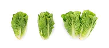Bir romaine marul salatası izole. Çünkü yeşil yapraklar, taze salata başı, beyaz arka planda çiğ lahana, sağlıklı Roma salatası üst görünümü.
