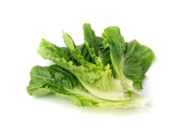 Romaine marul salatası yaprakları yalıtılmış. Çünkü yeşil yapraklar, taze romaine salatası, beyaz arka planda çiğ lahana, sağlıklı Roma salatası