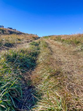 Güneşin aydınlattığı toprak yol, uzun otların arasından hafif bir tepeye doğru esiyor. Açık bir alan ortamı sunuyor. Açık hava keşfi ve açık mavi gökyüzü altında barışçıl bir yürüyüş..
