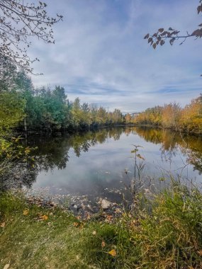 Huzurlu bir nehir rengarenk sonbahar ağaçlarıyla çevrili, nazikçe akar. Su, mavi gökyüzünün altındaki canlı yaprakları yansıtıyor ve doğada sakin bir atmosfer yaratıyor..