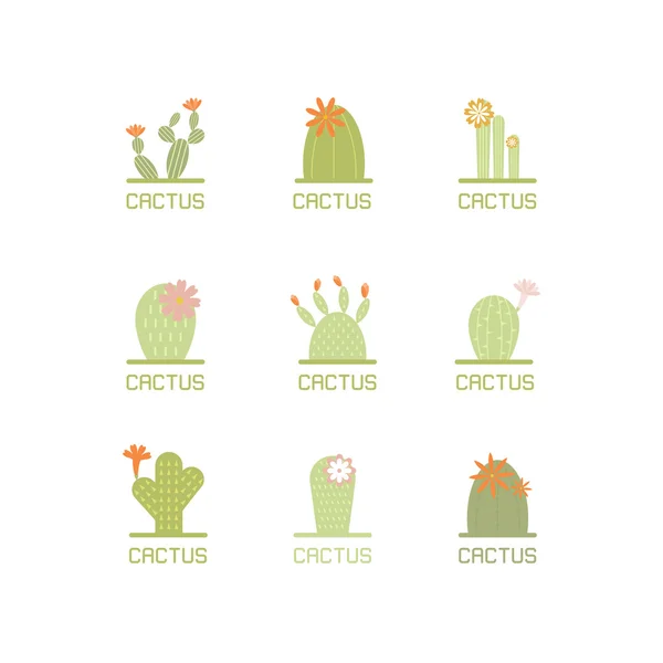 Succulent plants and cactuses — Stock Vector