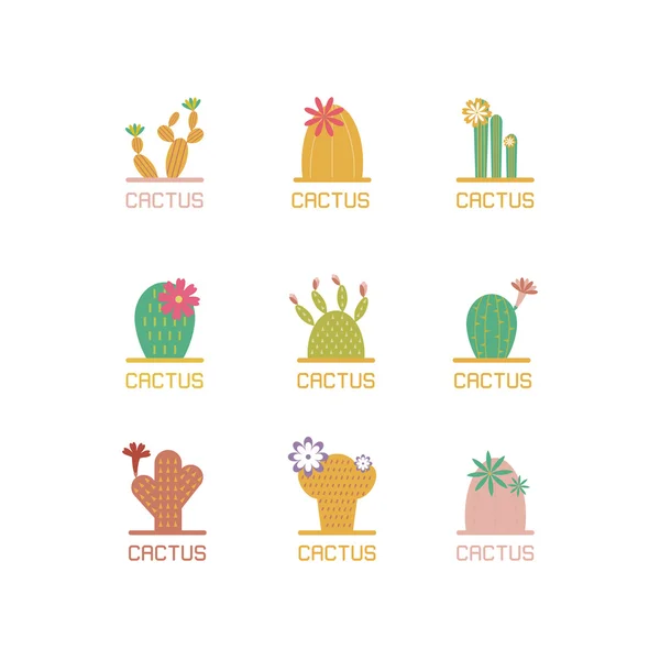 Succulent plants and cactuses — Stock Vector
