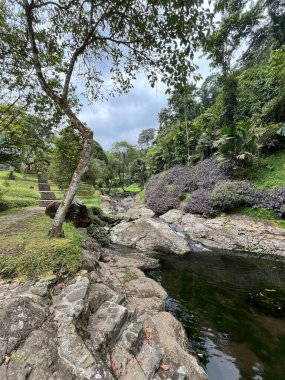 Görkemli Şelale ve Nehir Güzeli