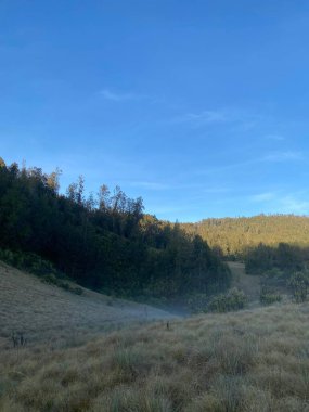Ağacı ve dağı olan güzel bir manzara.