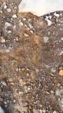 Dağ Tepesine Destansı Yolculuk