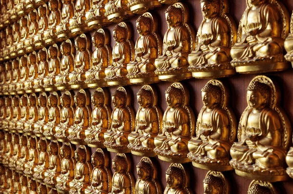 Buddha-szobrok a falon. — Stock Fotó