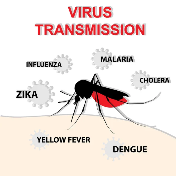Transmissão do vírus da picada de mosquito — Vetor de Stock