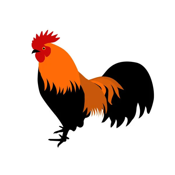 Image of an cock on white background — Stock Vector