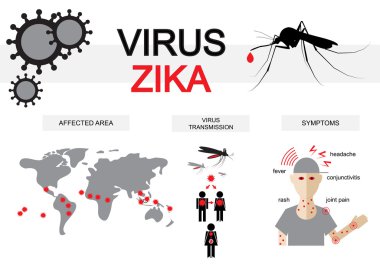 zika virüs infographics