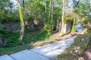 Yeşil yosun ve bitkilerle kaplı bir şatonun harabelerinden geçen bir merdiven, romantik bir yol.