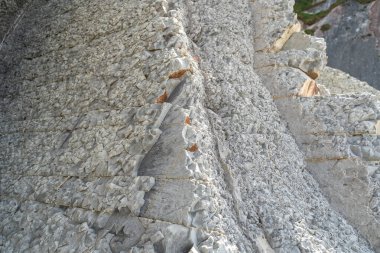 Katmanlı kayalar, sinek dokusu arka planı. Tortul kaya, çizgiler taş desen, başkalaşım bayrağı, doğa taşı duvar yapısı, eski kaba mineral oluşumu.