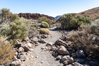Lava Tarlaları, sünger taşı dokusu, volkanik sünger taşı deseni, lavın parçaları, Teide Bazalt Olağanüstü Igneous Kayası, İspanya 'da Renkli Porto Volkan Taşları, Tenerife Tepesi, Teide Tepesi