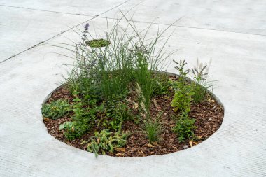 Modern Çiçek Saksısı, Sokak Yatağı, Sandık Kutuları Modern Şehir Çiçekçiliği, Şehir Çiçek Yatakları Tasarımı, Şehir Çiçekleri Peyzajı, Yaz Caddesinde Çiçek Saksısı