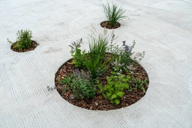 Modern Çiçek Saksısı, Sokak Yatağı, Sandık Kutuları Modern Şehir Çiçekçiliği, Şehir Çiçek Yatakları Tasarımı, Şehir Çiçekleri Peyzajı, Yaz Caddesinde Çiçek Saksısı