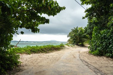 Seyşeller 'deki Praslin adasındaki Anse La Blague plajına giden tropikal kumlu yolda yeşil bitki örtüsü, palmiye ağaçları, bulutlu gökyüzü, yağmurdan önce turkuaz deniz ve dramatik atmosfer