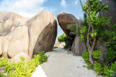 La Digue Adası 'ndaki Anse Source d Argent plajında büyük granit kayalar ve yeşil bitkiler arasındaki kum yolu.