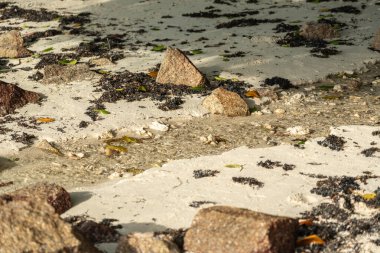 Küçük kayalar ve deniz yosunlarıyla sığ dere Seyşeller 'deki tropik plajlarda beyaz kumda akıyor.