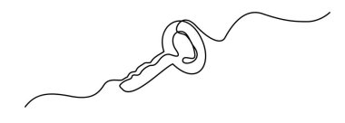 Bir satır anahtarı. Devamlı anahtar sözcük sembolü, sanat vektörü illüstrasyonunun kilidini aç, el çizimi minimal anahtar çizim simgesi, özellik erişim simgesi, giriş işareti