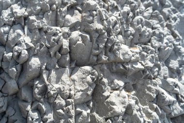 Katmanlı kayalar, sinek dokusu arka planı. Tortul kaya, çizgiler taş desen, başkalaşım bayrağı, doğa taşı duvar yapısı, eski kaba mineral oluşumu.