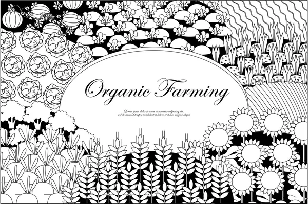 Organic farming background. Frame with plenteous fields landscape. Agriculture background. Black and white. — Stock Vector