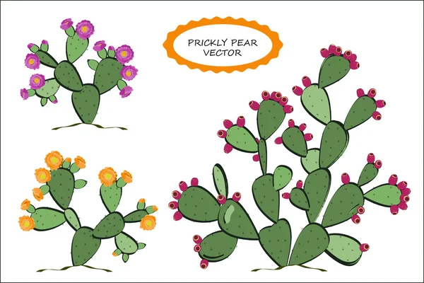 1 440 Prickly Pear Vector Images Free Royalty Free Prickly Pear Vectors Depositphotos 1 440 Prickly Pear Vector Images Free Royalty Free Prickly Pear Vectors Depositphotos