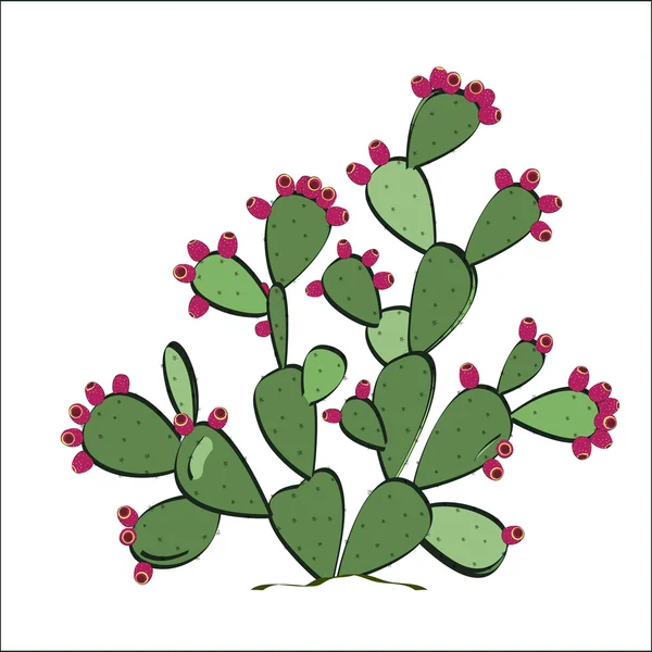 1 440 Prickly Pear Vector Images Free Royalty Free Prickly Pear Vectors Depositphotos 1 440 Prickly Pear Vector Images Free Royalty Free Prickly Pear Vectors Depositphotos