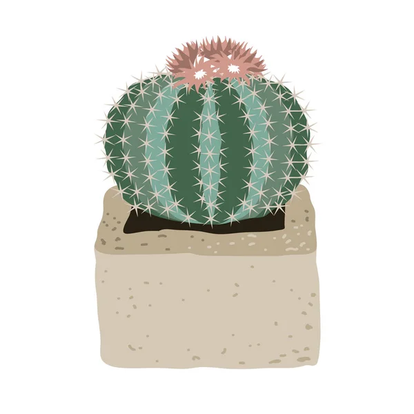 Leuke cactus met roze bloemen in een cementpot. Vector illustratie geïsoleerd op een witte achtergrond. — Stockvector