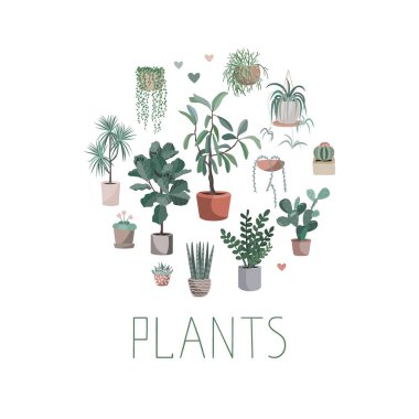 Daire şeklinde dizilmiş ev bitkileri, vektör el çizimi sevimli ev bitkisi saksıları, kaktüsler ve sulandırıcılar. İskandinav tarzında izole edilmiş çizgi film öğesi