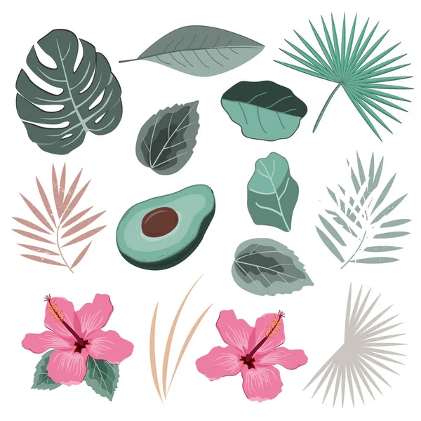 野生の熱帯雨林植物の葉や花でベクトルセット。熱帯デザインの隔離された要素 — ストックベクタ