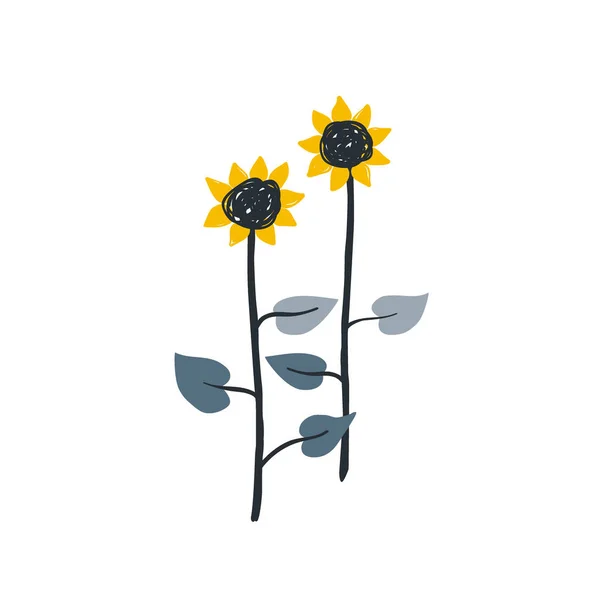 Gekritzelte handgezeichnete Sonnenblumen isoliert auf weiß. Niedliche Vektorillustration — Stockvektor