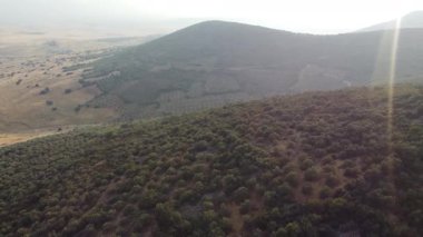 Puslu bir gökyüzünün altında yuvarlanan tepeleri ve dağları kaplayan yeşil bir ormanın güzel hava manzarası.
