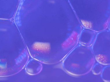 Mor renkler narin kabarcık ağlarında parlıyor