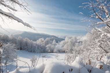 Soğuk kış günü, çok güneşli.
