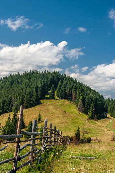 Prachtige berglandschap. Blauwe lucht, groene weiden. — Stockfoto