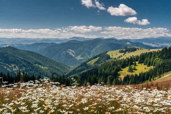 Beautiful mountain landscape. Blue sky, green meadows. — Stock Photo, Image