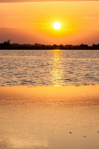 Nascer do sol sobre o estuário . — Fotografia de Stock