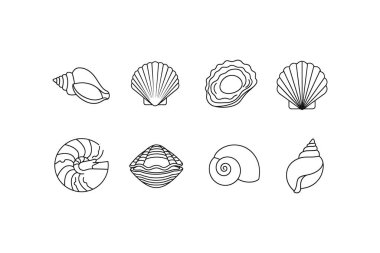 Sade beyaz arka planda iki sıra halinde sekiz deniz kabuğu silueti koleksiyonu.