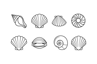 Farklı şekil ve kalıplara sahip 8 adet siyah ve beyaz siluet deniz kabuğu koleksiyonu.