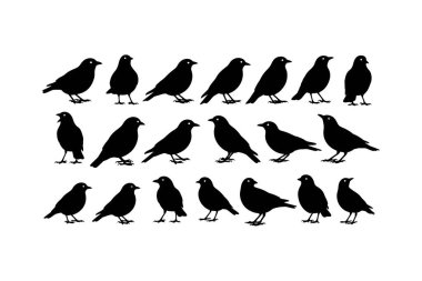Beyaz arka planda farklı konumlarda ve yönelimli 18 adet siyah kuş silueti.