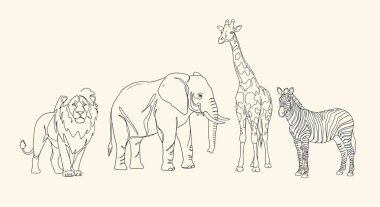 Aslan, fil, zürafa ve zebranın yer aldığı çizgi çizimleri, belirgin özelliklerini basit ve zarif bir şekilde gösteriyor..