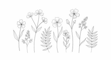 Özetlenmiş kır çiçekleri ve yapraklı gövdeler. Karmaşık çiçekli narin botanik çizgileri sergileniyor..