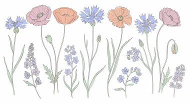 Yumuşak pastel renklerde yapılmış stilize afyon, çiçek ve ince saplı ve narin yapraklı unutma beni-notlardan oluşan bir koleksiyon..