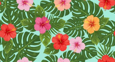 Renkli amber çiçekleri kırmızı, pembe ve turuncu renklerde yemyeşil canavar yapraklarıyla birleşir..