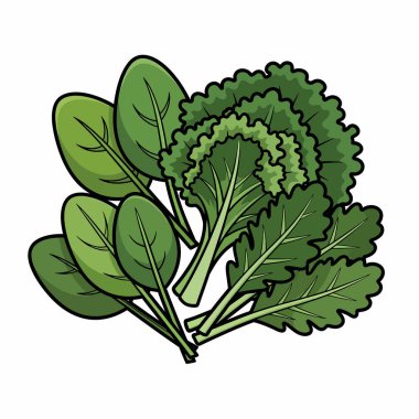 Bir demet taze ıspanak ve lahana sergilenen canlı bir illüstrasyon, bu yapraklı yeşilliklerin doğal dokularını ve renklerini vurguluyor.