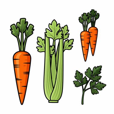 Havuç, kereviz sapı ve maydanoz filizi içeren renkli bir çizim, yiyecekle ilgili tasarımlar için mükemmel..