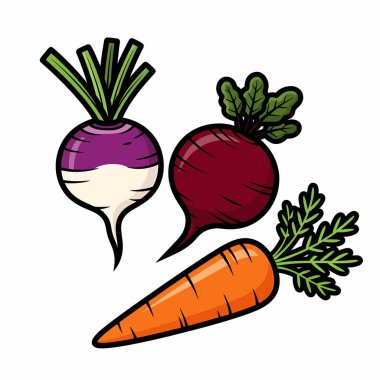 Yeşil yapraklı şalgam, pancar ve havuç çizimi, canlı renkler ve basit tasarım..