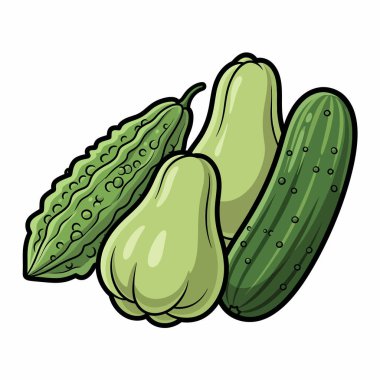 Canlı bir illüstrasyon, acı bir kavun, iki chayote squash, ve bir salatalık, hepsi yeşilin tonlarında yapılmış, aşçılık ve eğitim amaçlı mükemmel..